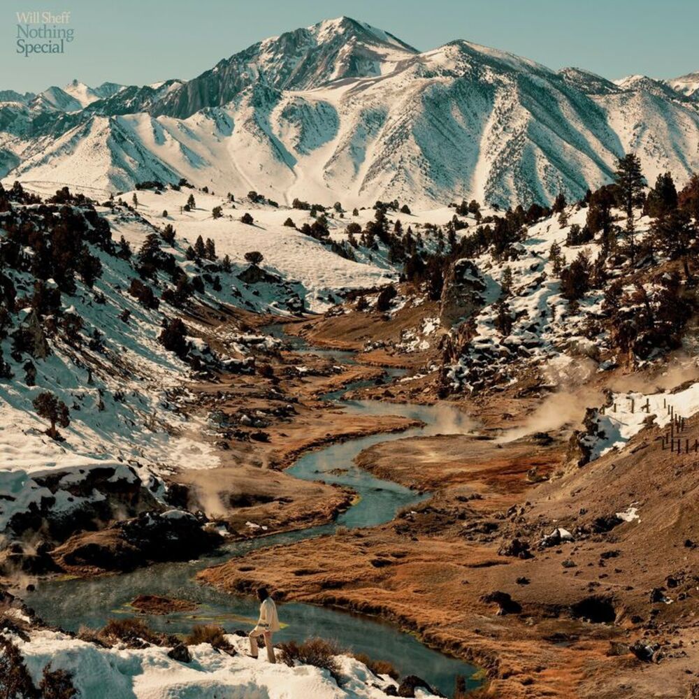 Will Sheff - Nothing Special  CD